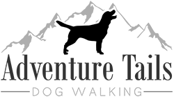 Adventure Tails